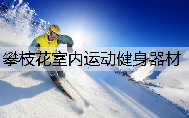 攀枝花室内运动健身器材