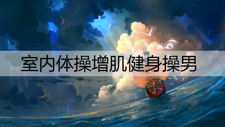 室内体操增肌健身操男