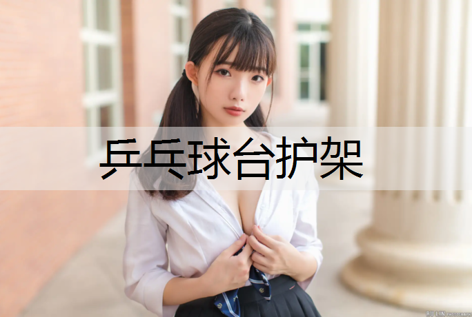 乒乓球台护架