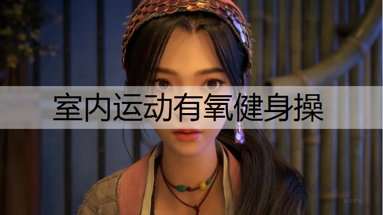 室内运动有氧健身操