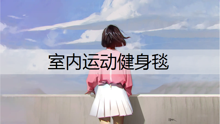 室内运动健身毯