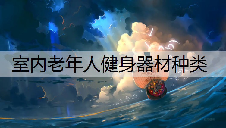 室内老年人健身器材种类