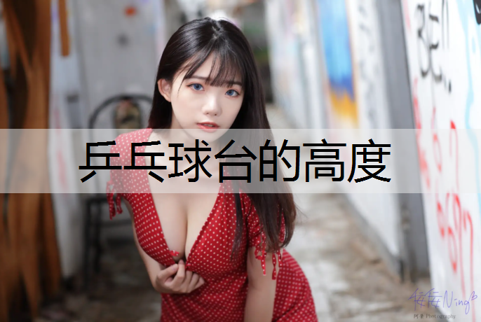 乒乓球台的高度