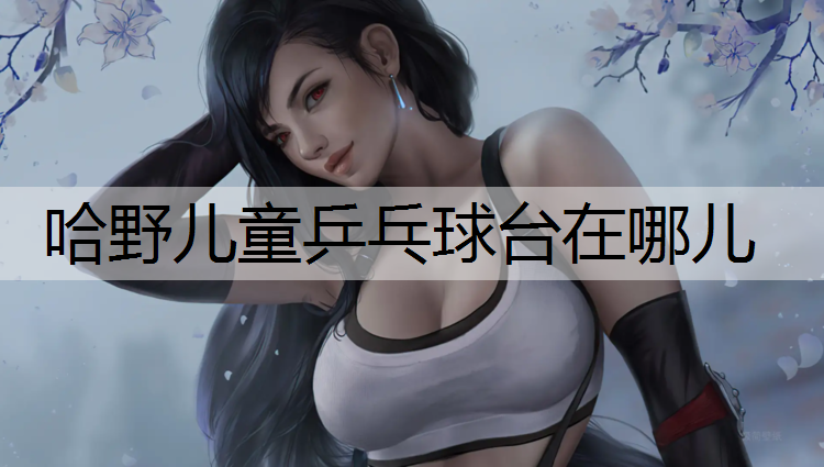 哈野儿童乒乓球台在哪儿