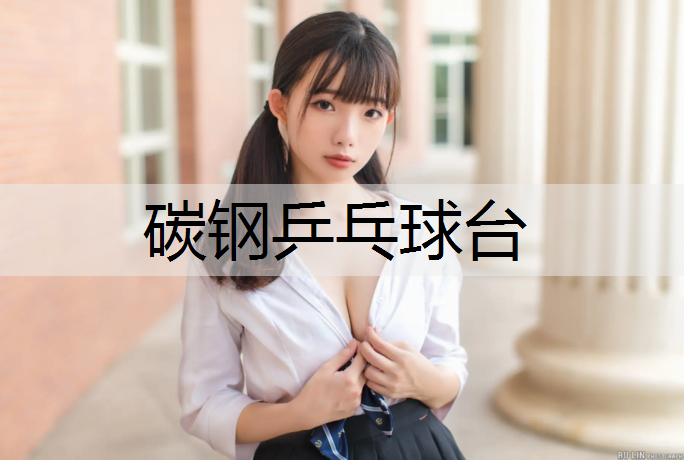碳钢乒乓球台