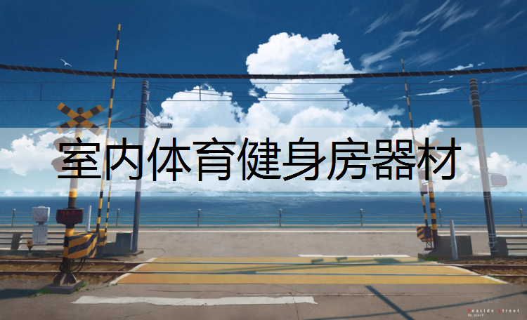 室内体育健身房器材