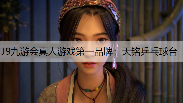 天铭乒乓球台