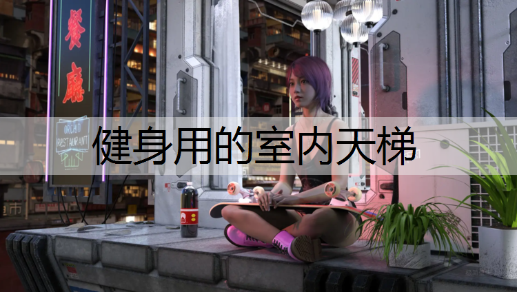 健身用的室内天梯